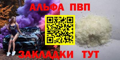 твердый Кингисепп