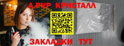 твердый Кингисепп