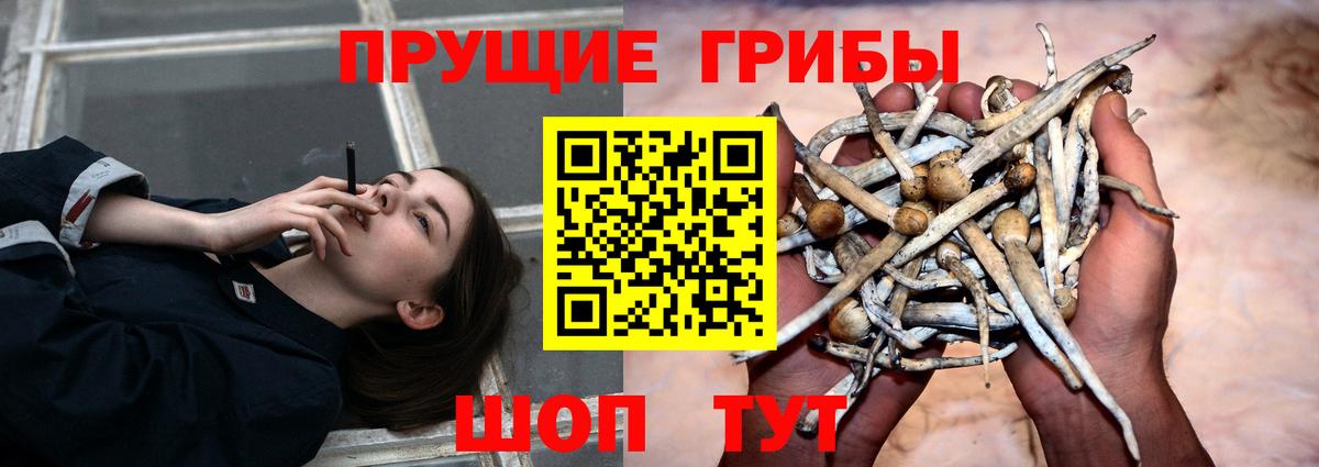 Галлюциногенные грибы GOLDEN TEACHER  Вход с VPN  Красноярск 